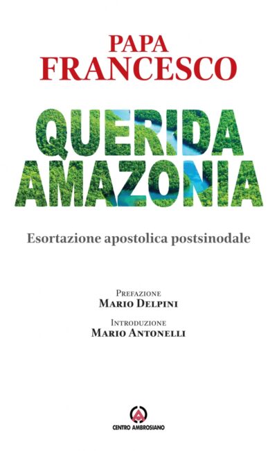 Querida Amazonia