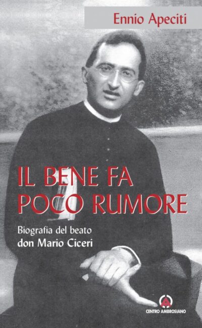 Bene fa poco rumore (Il)