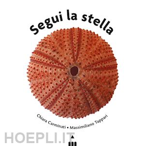 Segui la stella
